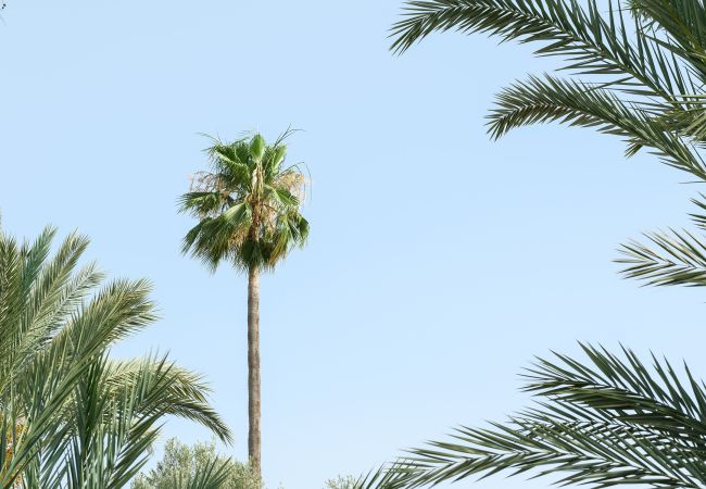 Villa à Marrakech - Dar Adnaa Villa à Marrakech - Dar Adnaa