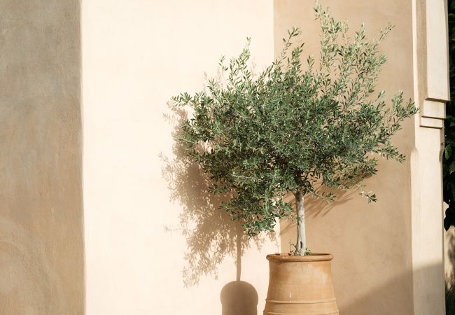 Villa à Marrakech - Dar Adnaa Villa à Marrakech - Dar Adnaa