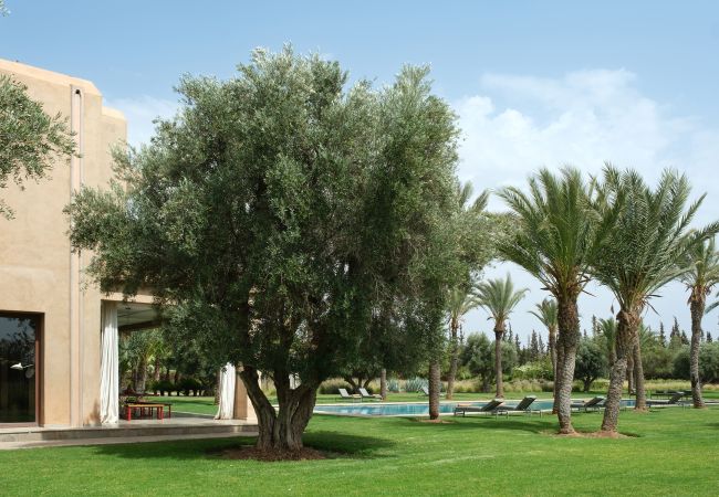 Villa à Marrakech - Dar Adnaa Villa à Marrakech - Dar Adnaa