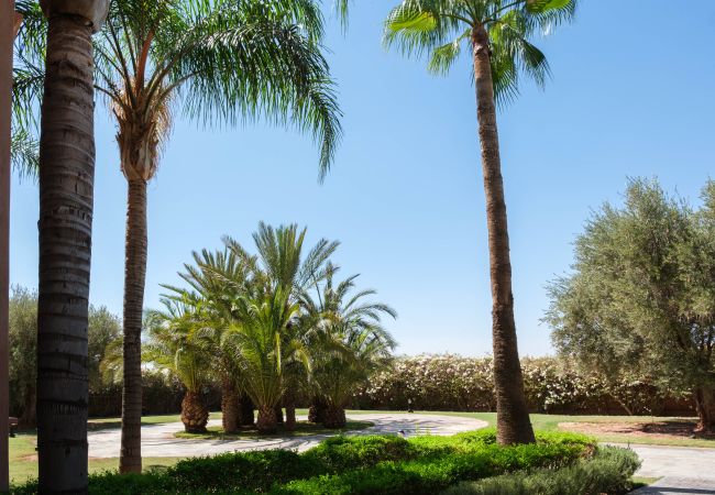 Villa à Marrakech - Mexance Villa à Marrakech - Mexance