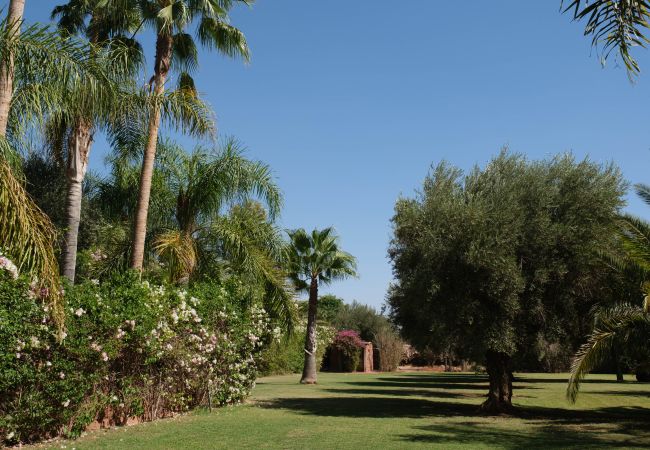Villa à Marrakech - Mexance Villa à Marrakech - Mexance