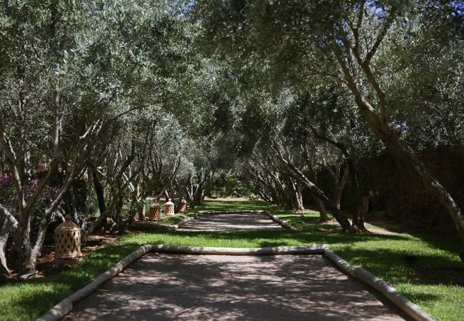 Villa à Marrakech - Dar Neylla Villa à Marrakech - Dar Neylla