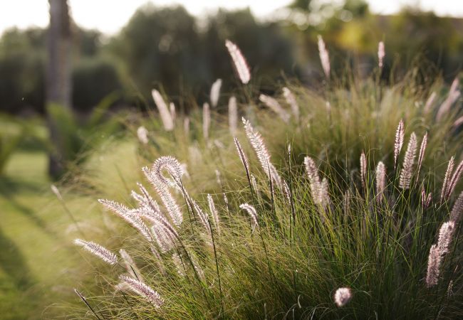 Villa à Marrakech - MISH-MISH Villa à Marrakech - MISH-MISH