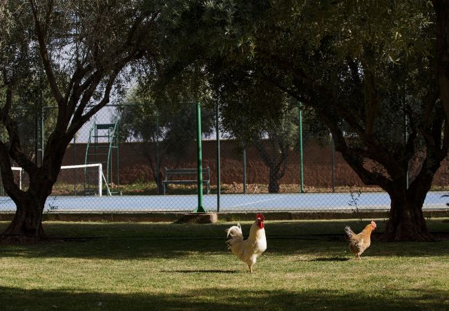 Villa à Marrakech - MISH-MISH Villa à Marrakech - MISH-MISH