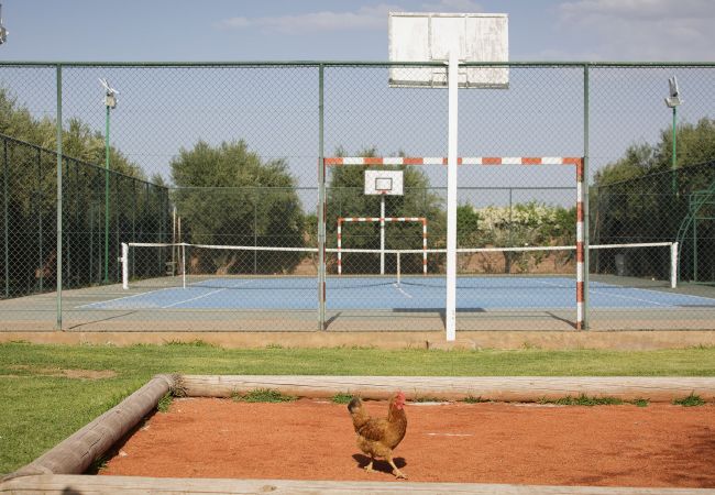 Villa à Marrakech - MISH-MISH Villa à Marrakech - MISH-MISH