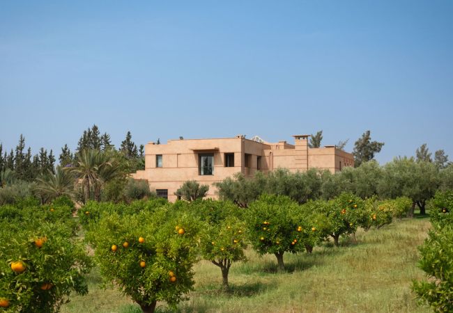 Villa à Marrakech - TAMARI MARRAKECH Villa à Marrakech - TAMARI MARRAKECH