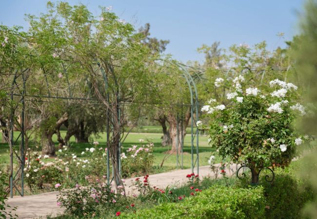 Villa à Marrakech - TAMARI MARRAKECH Villa à Marrakech - TAMARI MARRAKECH