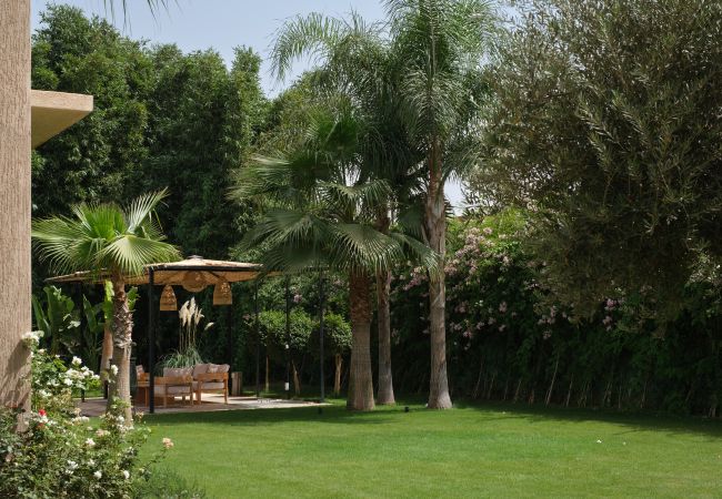 Villa à Marrakech - NETUMIA MARRAKECH Villa à Marrakech - NETUMIA MARRAKECH