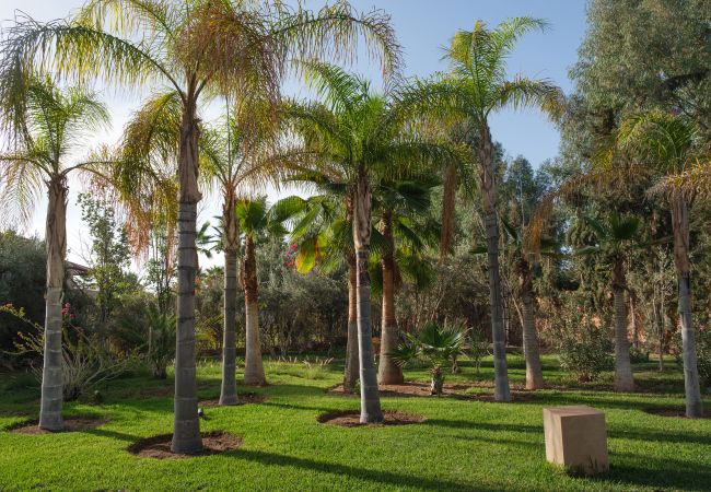 Villa à Marrakech - Villa ANIA Marrakech Villa à Marrakech - Villa ANIA Marrakech