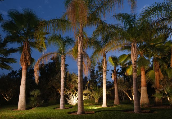 Villa à Marrakech - Villa ANIA Marrakech Villa à Marrakech - Villa ANIA Marrakech