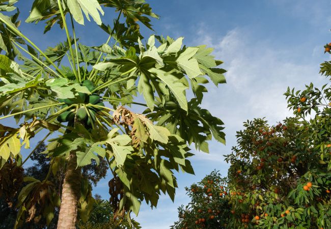 Villa à Marrakech - MAJDOU Marrakech Villa à Marrakech - MAJDOU Marrakech