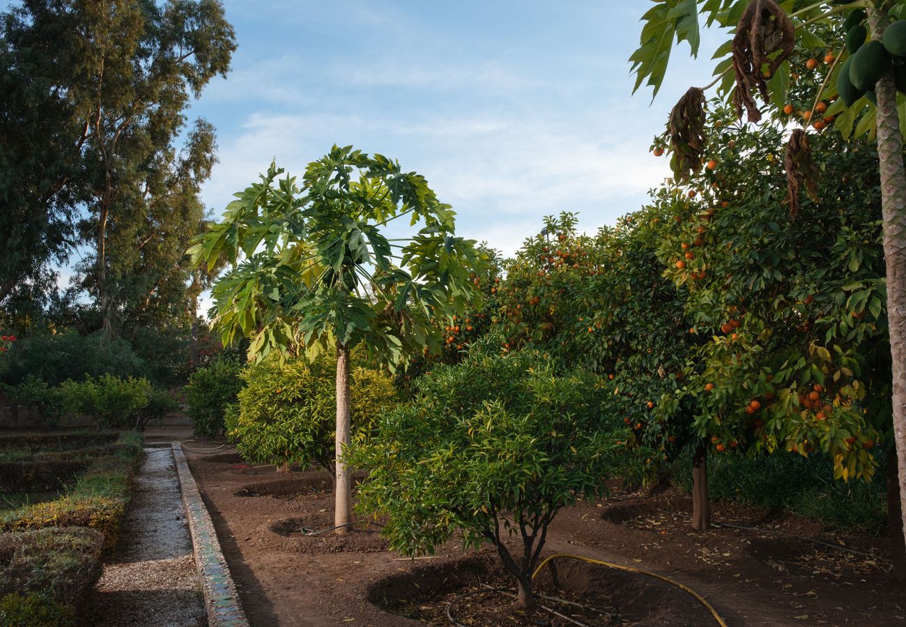 Villa à Marrakech - MAJDOU Marrakech Villa à Marrakech - MAJDOU Marrakech