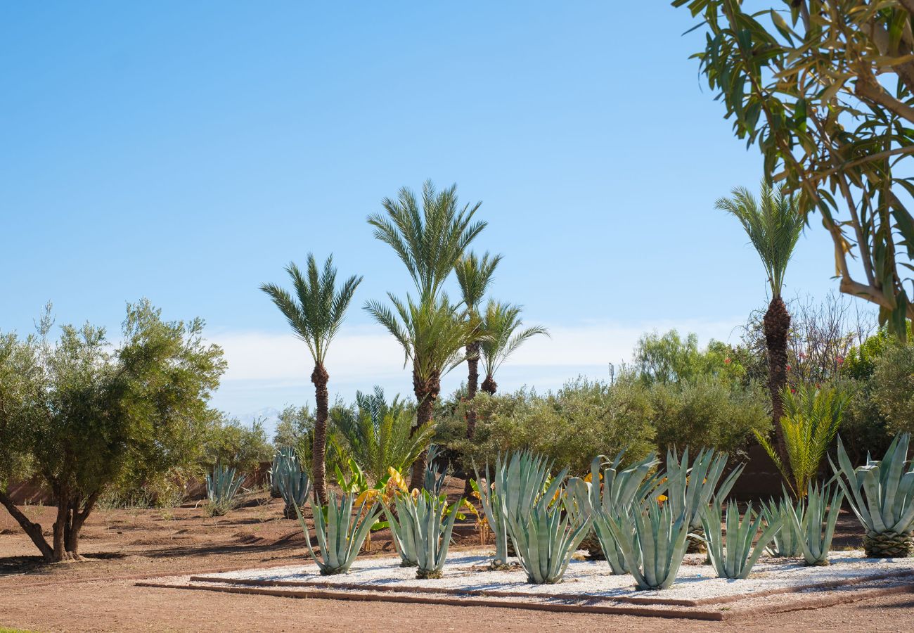 Villa à Marrakech - MAJDOU Marrakech Villa à Marrakech - MAJDOU Marrakech