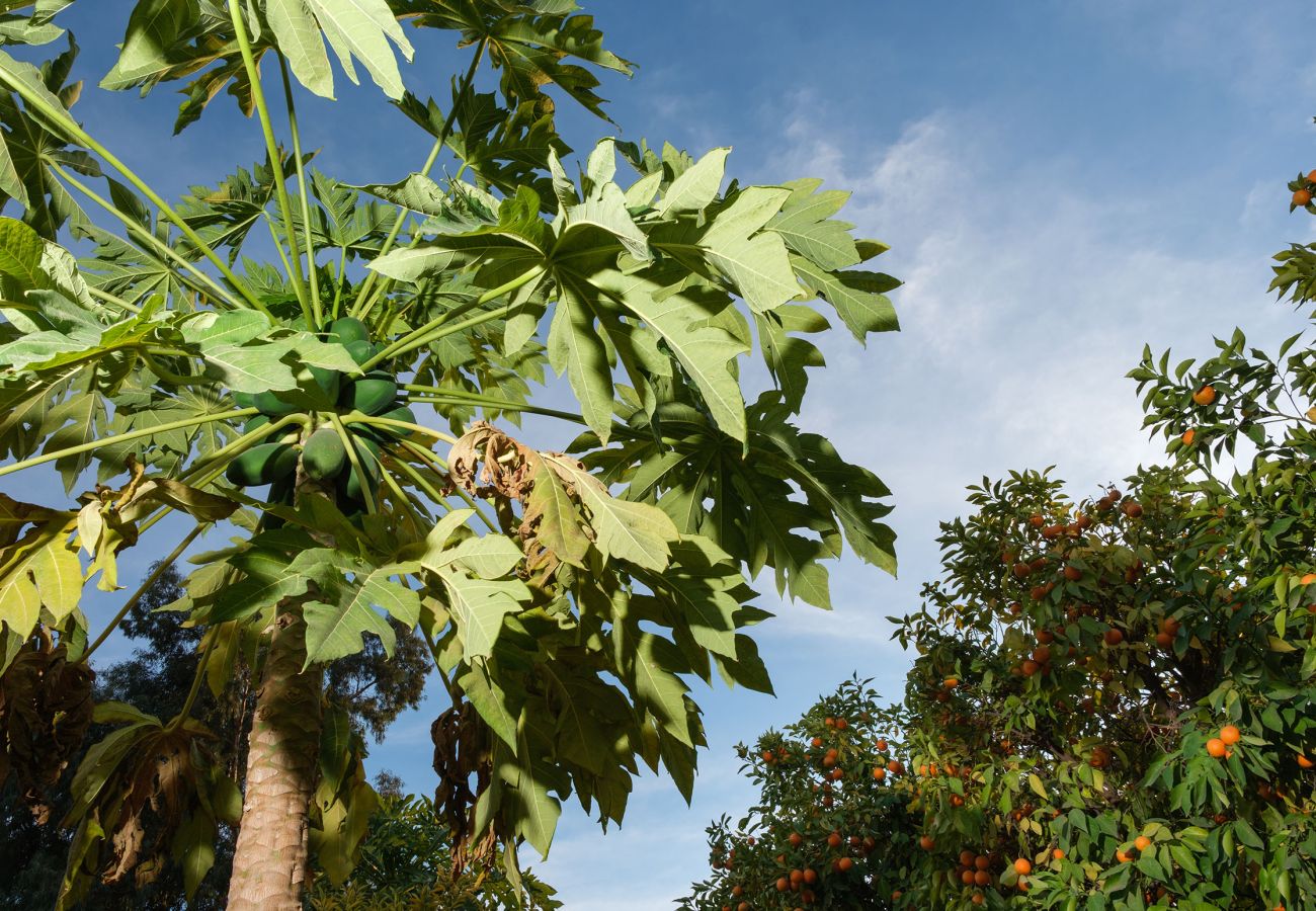 Villa à Marrakech - MAJDOU Marrakech Villa à Marrakech - MAJDOU Marrakech