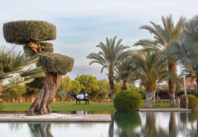 Villa à Marrakech - Tifernine 9 Villa à Marrakech - Tifernine 9