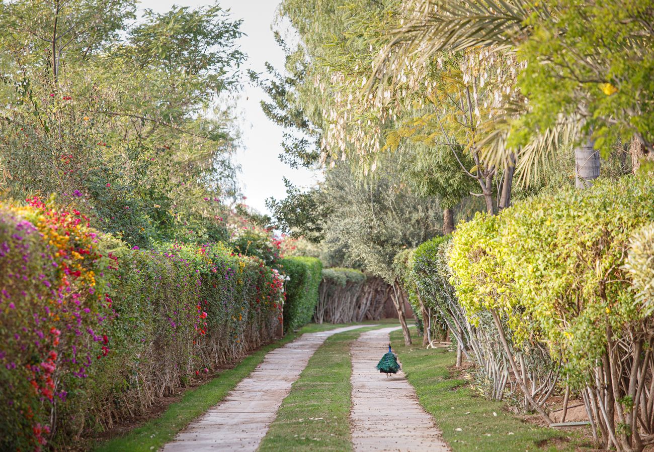 Villa à Marrakech - Tifernine 9 Villa à Marrakech - Tifernine 9
